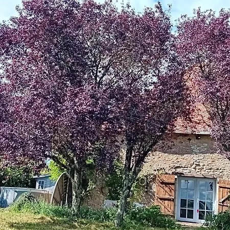 La Bergerie Vakantiehuis Thollet